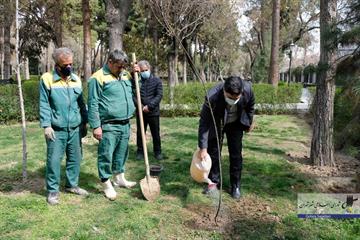 13-51 کاشت نهال به مناسبت روز درختکاری توسط اعضای شورای شهر تهران